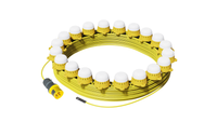 Electro Wind Ltd FL50MLED: 50M 110V festoon, 20x6.5W LED, IP54, with 16A plug and bulb covers.